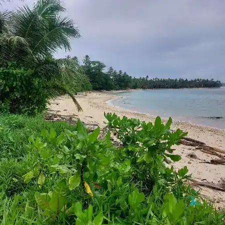 Mentawai Islands Sipora Land For Sale