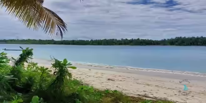 Silabok beachfront land for sale Mentawai Islands