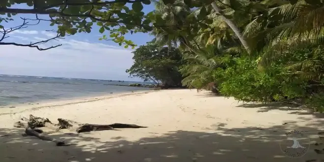 3223m2 Siburu island land for sale