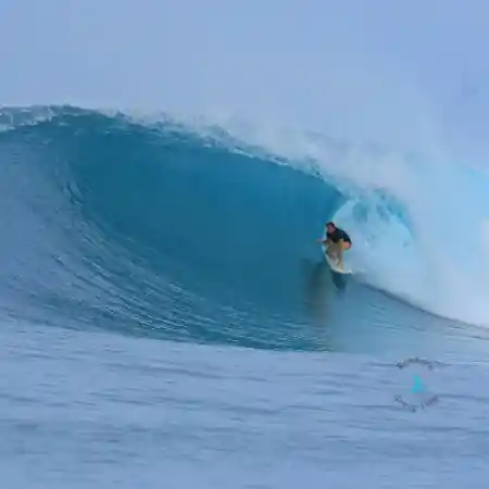 Mentawai Islands Property for Sale