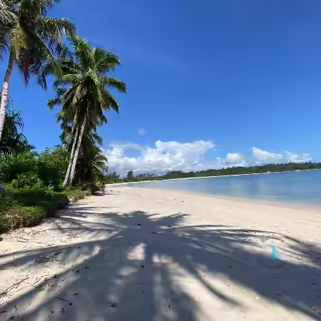 Mentawai Islands Property