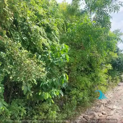 Freehold land for sale, with ocean views Bali.