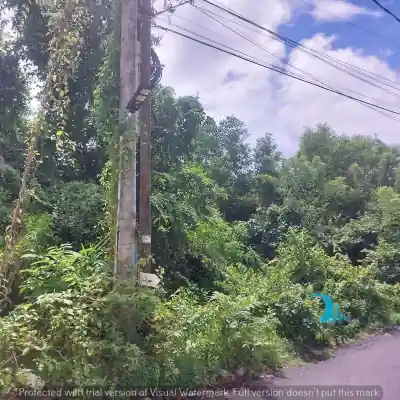 Freehold land for sale Bali