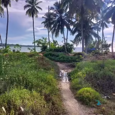 Beachfront land for sale Mentawai Islands 1400m2